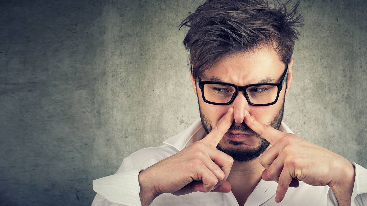 Read more about the article Stink 101
